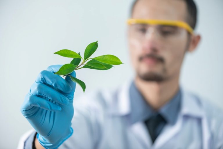 scientist holding a plant