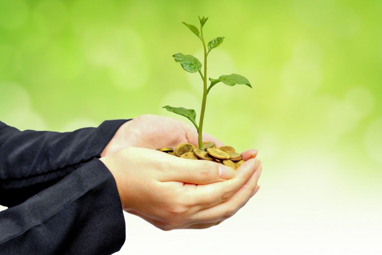 Businessman Holding a plant